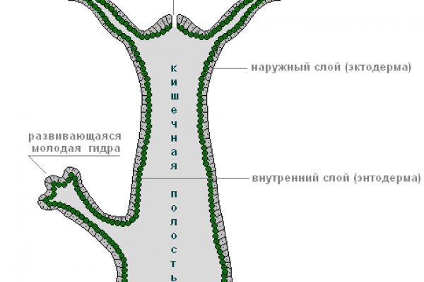 Кракен работает