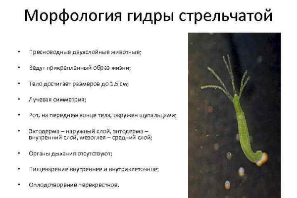 2 krn at