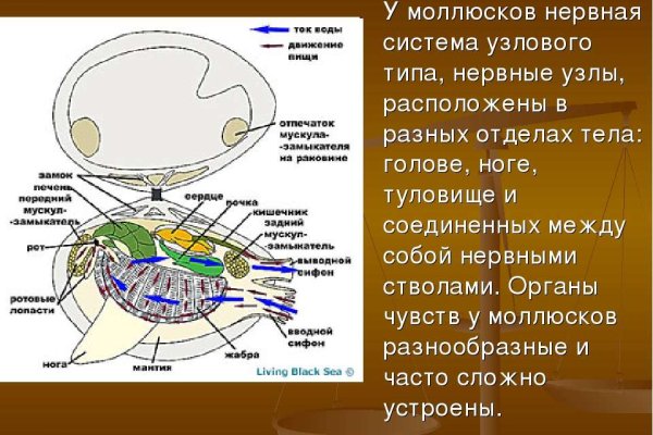 Кракен без тора